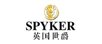 SPYKER世爵十大品牌排行榜