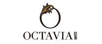 欧雅纳特OCTAVIA十大品牌排行榜