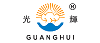 光辉GUANGHUI十大品牌排行榜