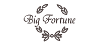 BigFortune十大品牌排行榜