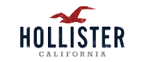 Hollister十大品牌排行榜