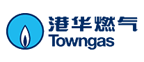 港华燃气TOWNGAS十大品牌排行榜