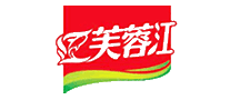 十大品牌排行榜