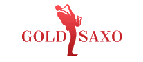 金萨克GOLDSAXO十大品牌排行榜