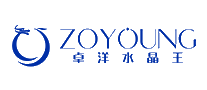 卓洋ZOYOUNG十大品牌排行榜